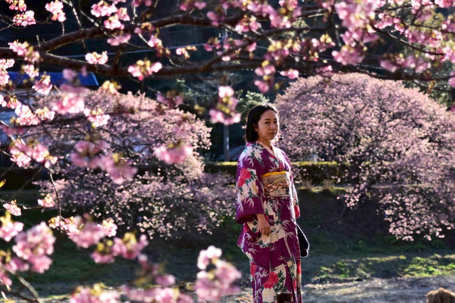 DOX – MOMI: Vintage & Antique Kimono Show